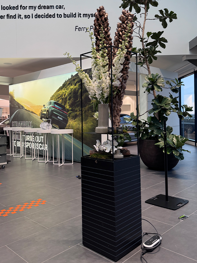 DE Sitter – Events – Porsche Rotterdam – Frame SER