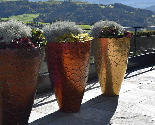 De-Sitter-Beplantingen-Homepage